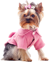 Boarding and Grooming